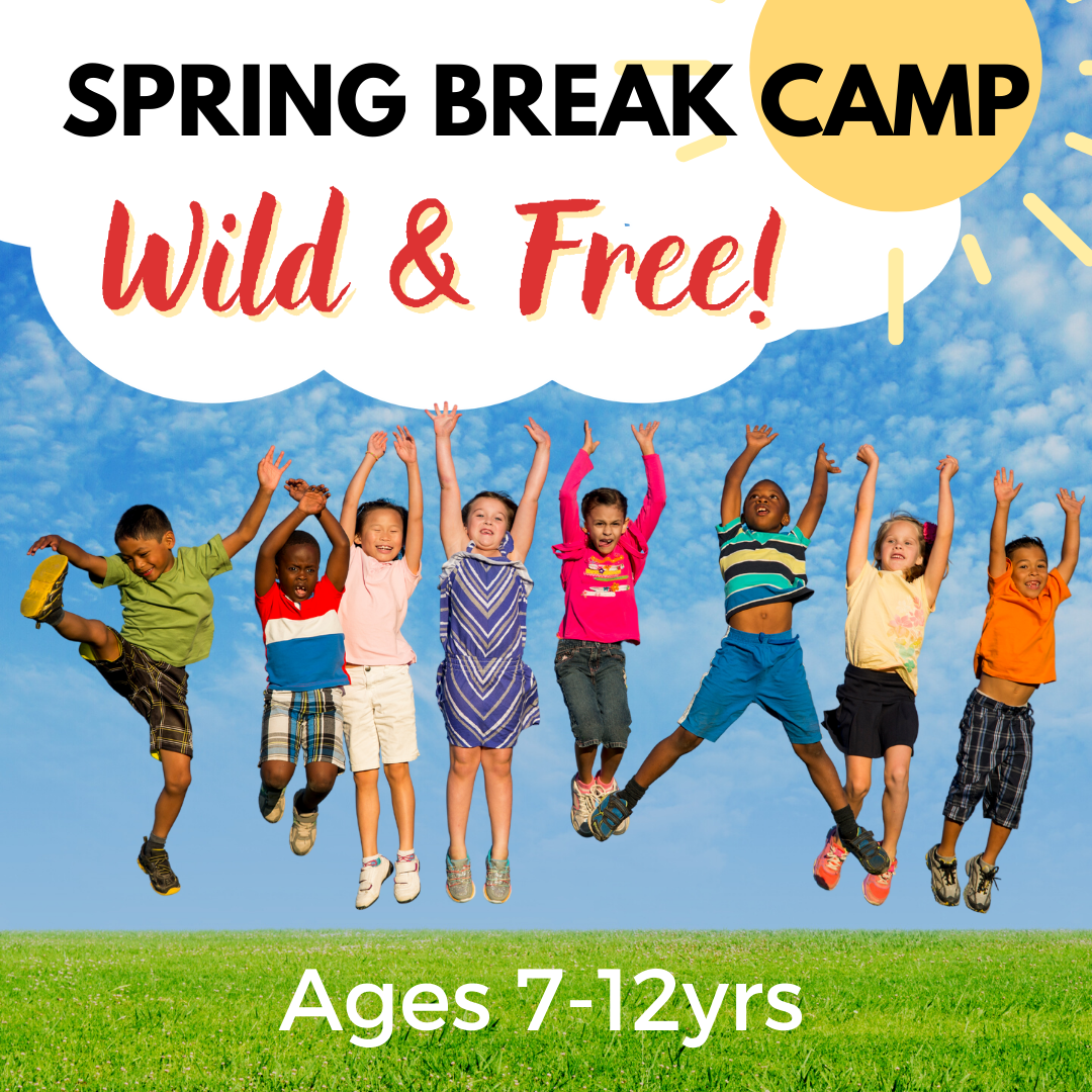 2023 MHAC spring-break-wild-free.png